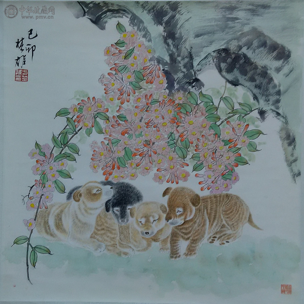 图片1