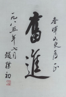 赵朴初 书法