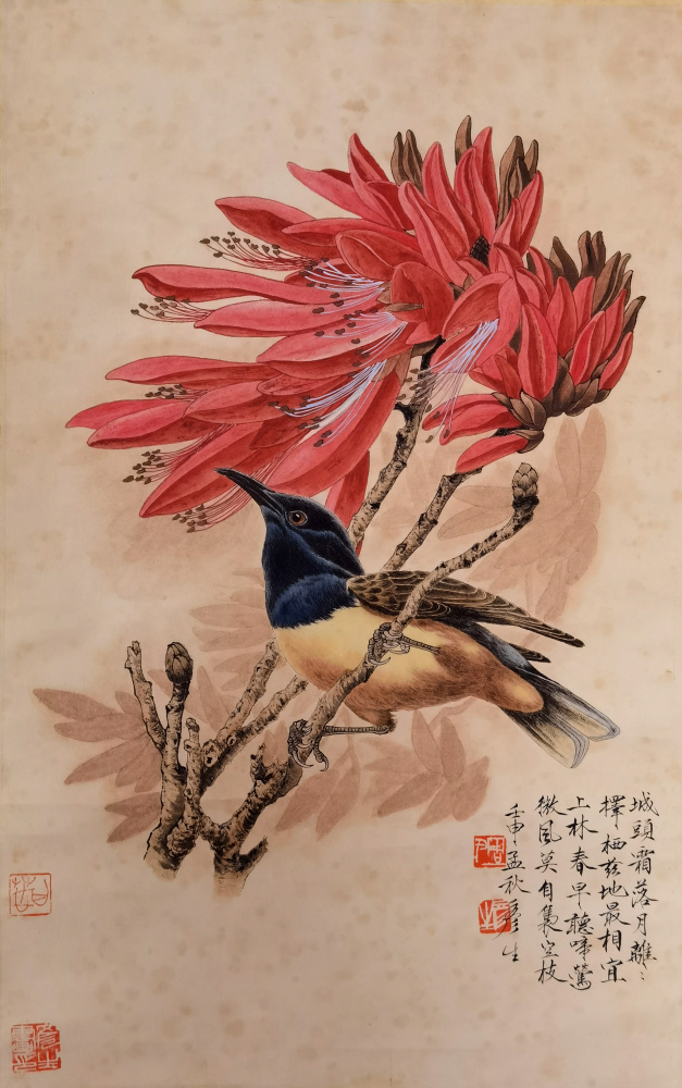 图片1