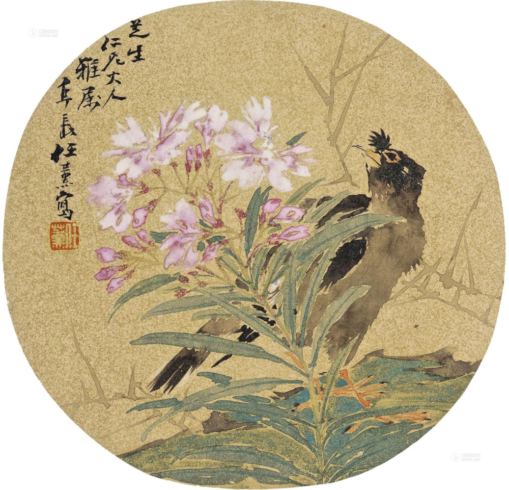 图片1
